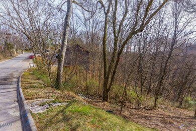 0 Maggie MacK Ln unit 304403, Sevierville, TN 37862 - photo 5