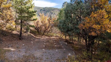 9 Elkridge Ln, Durango, CO 81301 - photo 4