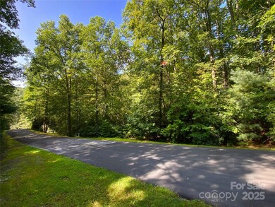 Lot 7 Sweetwater Ridge Rd unit 7, Balsam Grove, NC 28708 - photo 4