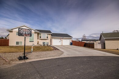 1037CardinalLoop-2