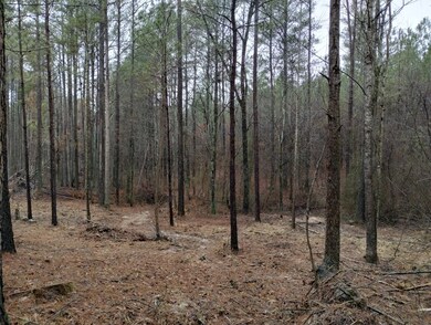 000 Walt Maddron Rd, Cohutta, GA 30710 - photo 5