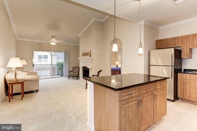 Bryson At Woodland Park unit 403, Herndon, VA 20171 - photo 5