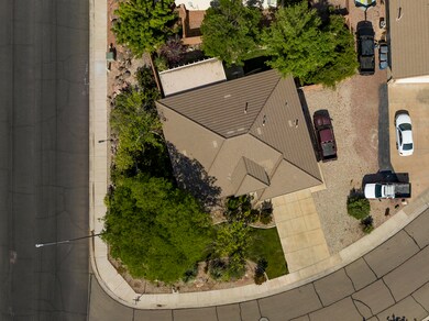 Birds eye