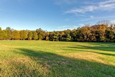 Beautiful Country View-Total 5 Acres
