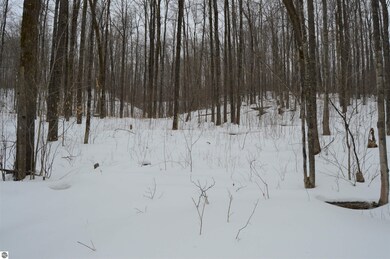 1556 S Magee Rd, Vanderbilt, MI 49795 - photo 7