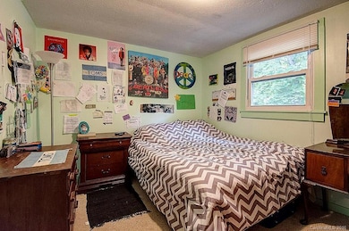 110 Brooklyn Rd, Asheville, NC 28803 - photo 6