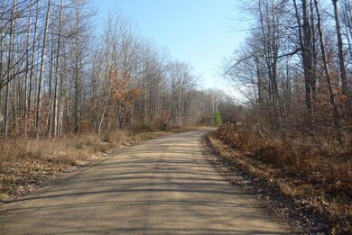 Street