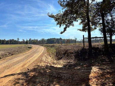 00 Griffin Rd, Shuqualak, MS 39361 - photo 2