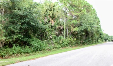 5520 Fan Palm Ave, Cocoa, FL 32927 - photo 2