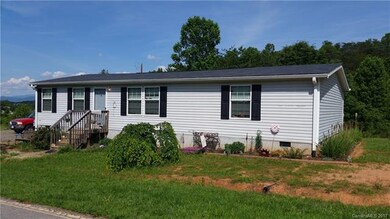 250 Goughes Branch Rd, Leicester, NC 28748 - photo 2