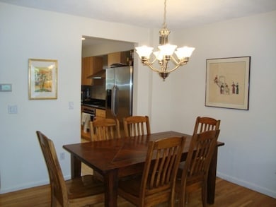 17 Williams St, Brookline, MA 02446 - photo 4