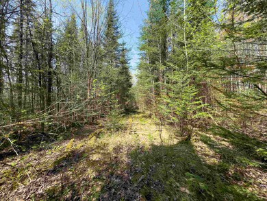 538 Oregon Rd, Concord, VT 05824 - photo 2