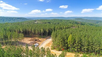 04-DJI_20250611090652_0001_D