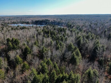DJI_0599