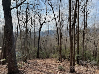 999 Sleepy Gap Rd unit 6, Arden, NC 28704 - photo 3