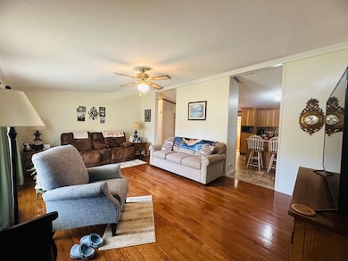 481 Hitchcock Rd, Dunlap, TN 37327 - photo 4