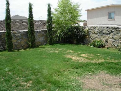 14225 Desert Bush Dr, El Paso, TX 79928 - photo 5