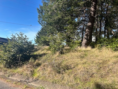 155 Seafoam Rd, Whitethorn, CA 95589 - photo 5