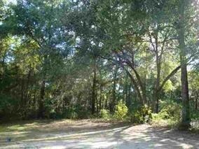 0 Jean Dr unit 283288, Crawfordville, FL 32327 - photo 6