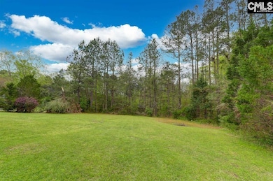 14 Hilton Glen Ct, Chapin, SC 29036 - photo 3