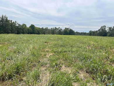 12 Holland Rd, Athens, AL 35614 - photo 3