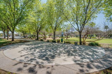 TREE LINED STREETS