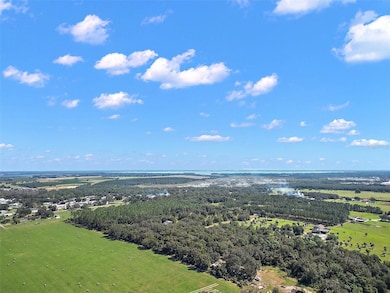 11001 Moon Crest Ln, Leesburg, FL 34788 - photo 7