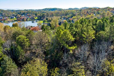 319 Gadusi Ln, Loudon, TN 37774 - photo 6