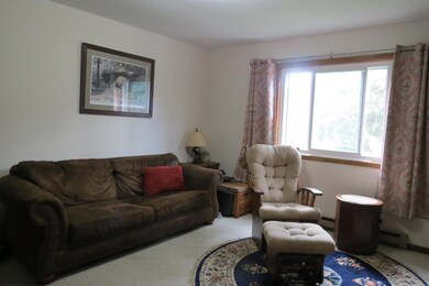 912 3rd St N unit 7, Cold Spring, MN 56320 - photo 5