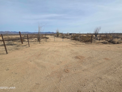 14162 Red Lake, Yucca, AZ 86438 - photo 3