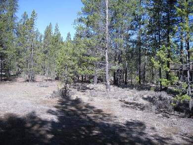 21 Klamath Ln, Sunriver, OR 97707 - photo 3