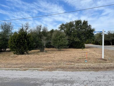 39010 Cedar Park Dr, Whitney, TX 76692 - photo 4