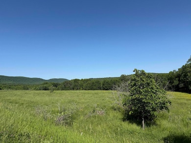 431 Houlton Rd, Island Falls, ME 04747 - photo 7