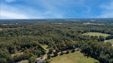 10081 Farm To Market Road 773, Ben Wheeler, TX 75754 - photo 3
