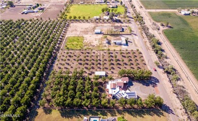 1590 Vinton Rd, Anthony, NM 88021 - photo 4