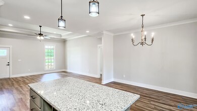 15685 Huntsville Brownsferry Rd, Athens, AL 35611 - photo 6