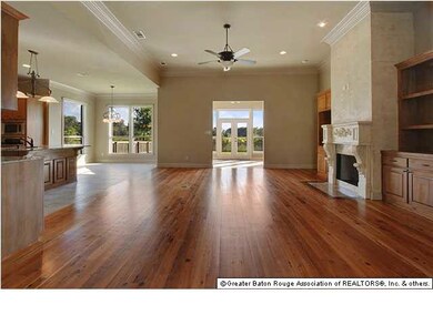 36267 Bluff Heritage Ave Geismar, LA 70734