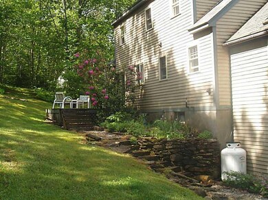 Back Yard.