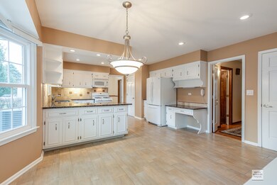 1066 E Gartner Rd, Naperville, IL 60540 - photo 5