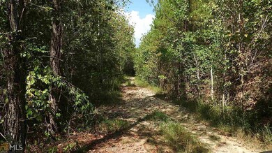 0 Nicklesville Rd NE unit 9637 8073887, Ranger, GA 30734 - photo 3