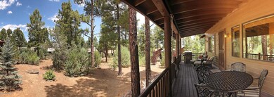 Back Deck Pan