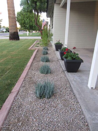 Front landscaping