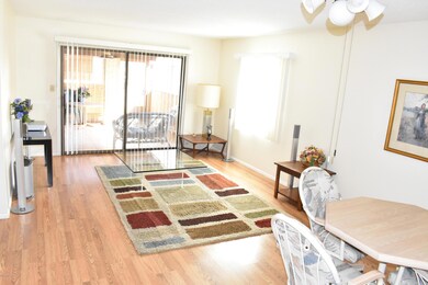 Large Open Living Room