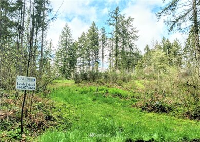 17301 17302 Hill Ct SE, Yelm, WA 98597 - photo 2