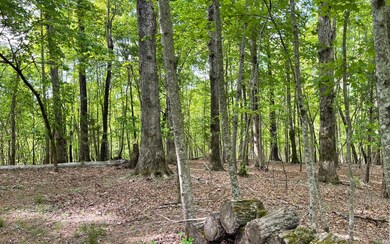 Additional View