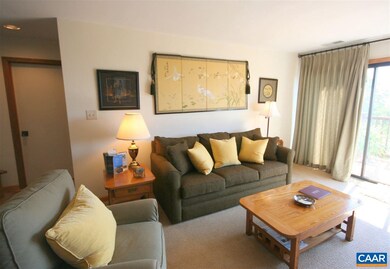 1541 Cliffs, Wintergreen Resort, VA 22967 - photo 5