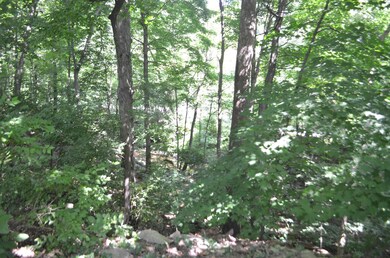 691 Overbrook Dr, Columbus, OH 43214 - photo 6