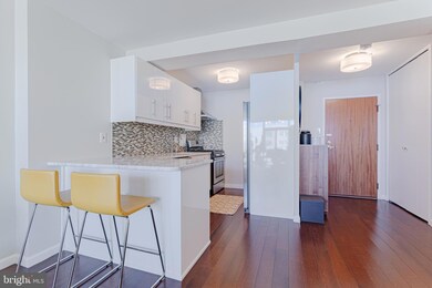 Potomac Plaza Terraces unit 718, Washington, DC 20037 - photo 7