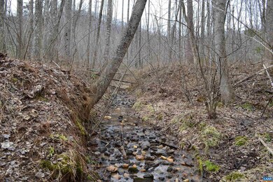 0 Walnut Branch Ln, North Garden, VA 22959 - photo 5