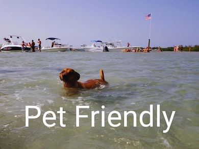 6375 Riverwalk Ln unit 4, Jupiter, FL 33458 - photo 2